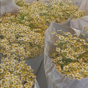 Meet your Posher, Ruby